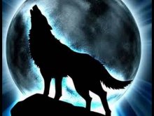howling wolf midnight moon.jpg